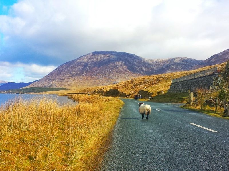 Naturaleza en Irlanda